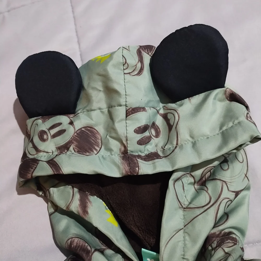 Disney Kids Light Green Mickey Mouse Hooded Jacket with Black Ears